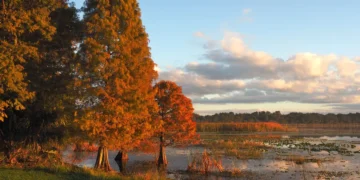 I’ve lived in Florida for 25 years. Here’s why I think fall is the best time to visit.
