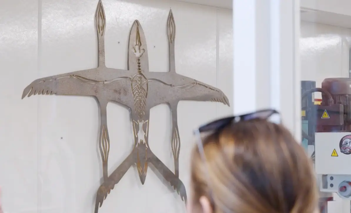Metal wall art of Beta's plane with the image of an Arctic Tern's skeleton superimposed on top of it.