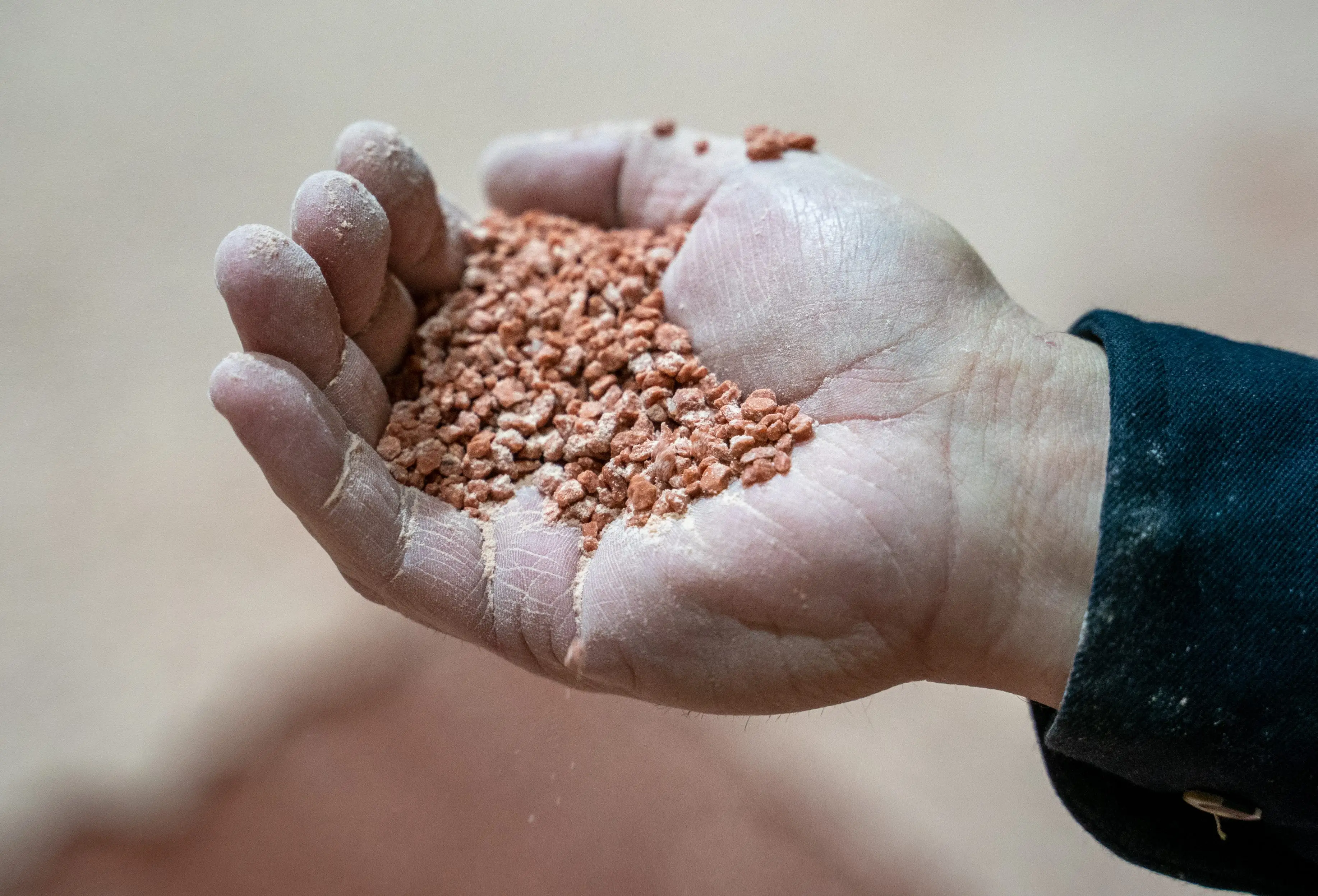 A worker holds potash fertilizer.