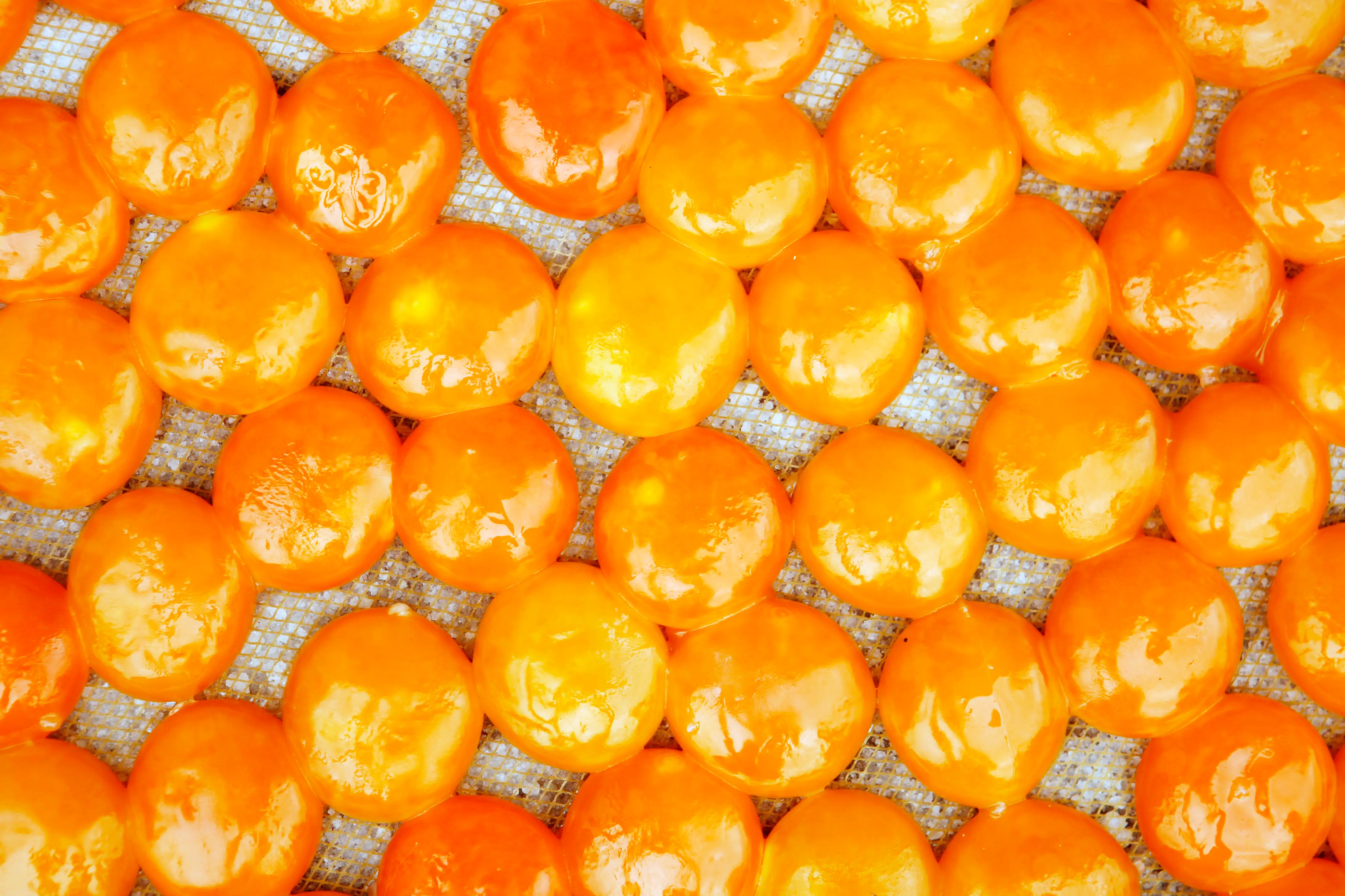 egg yolks