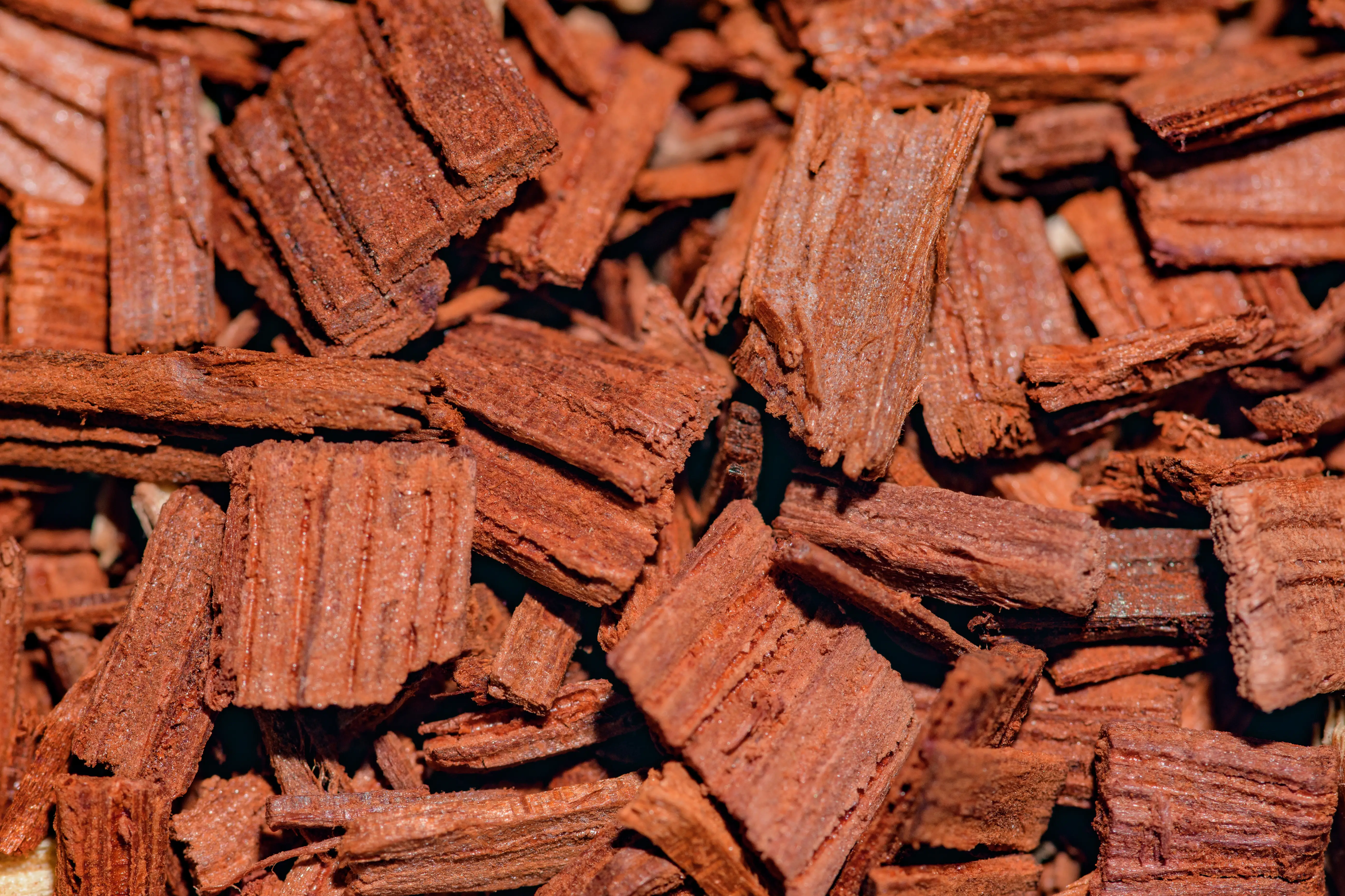 Close-up view of reddish-brown sandalwood chips filling the frame.
