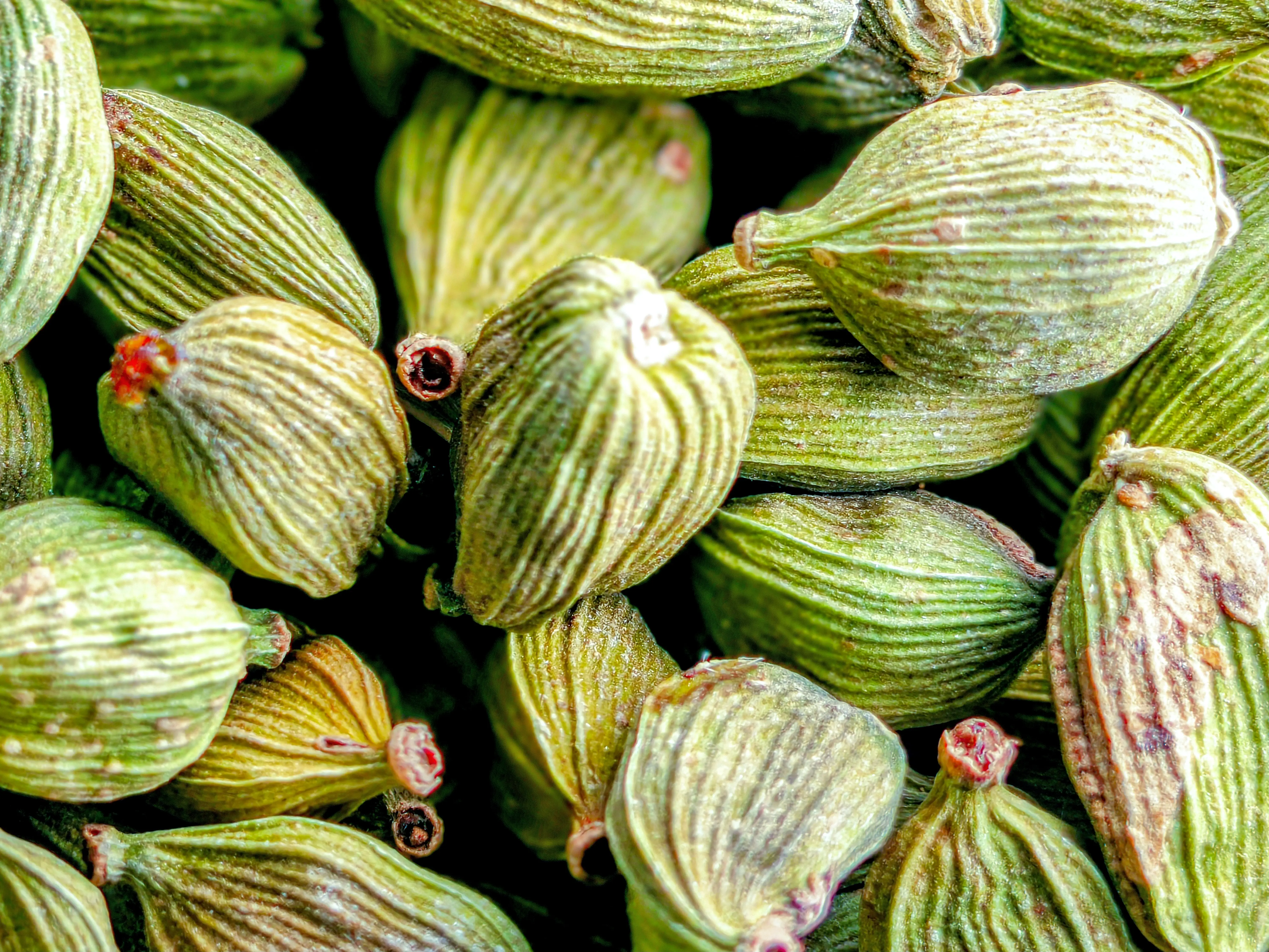A close-up of cardamom.