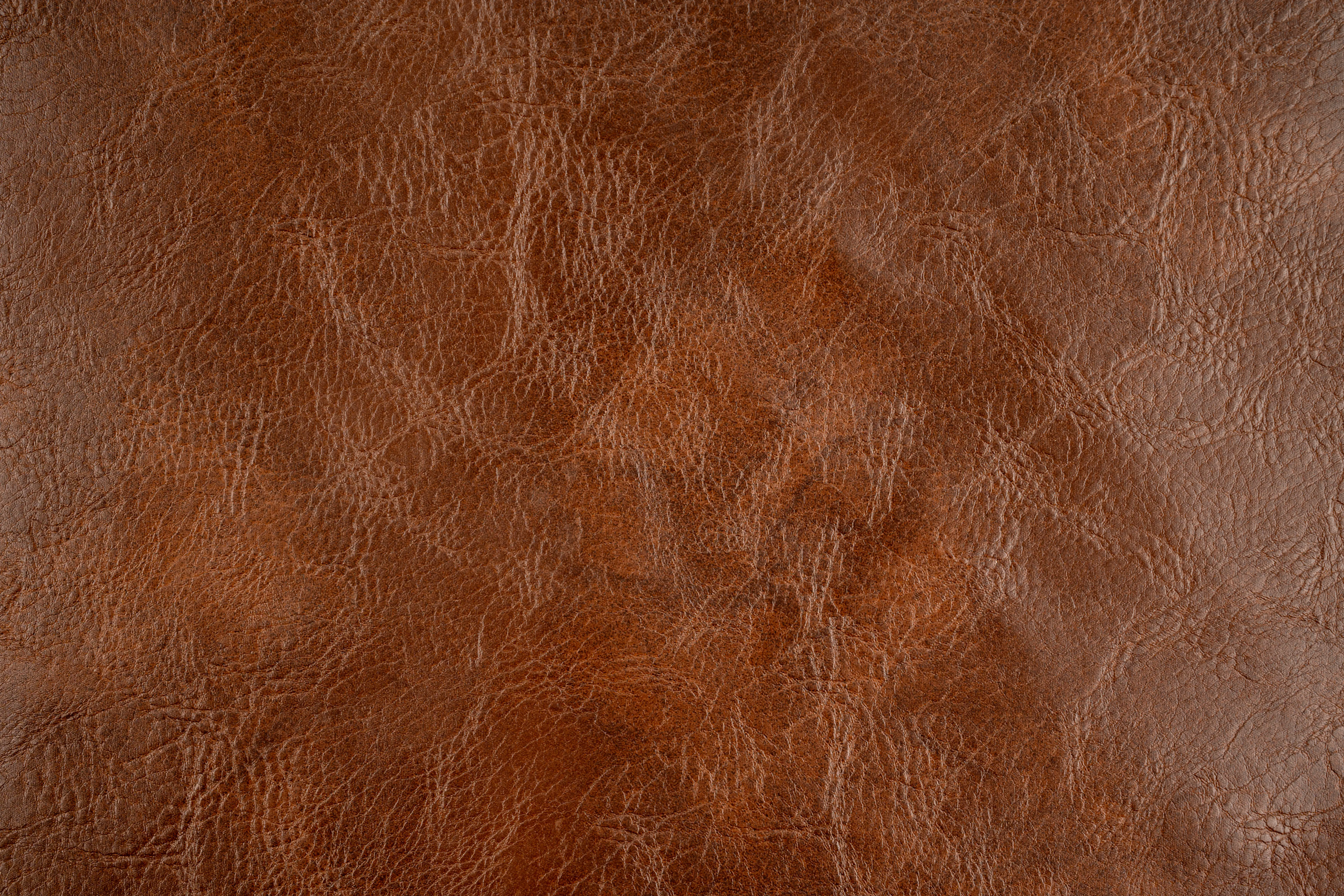 A close-up of brown leather.