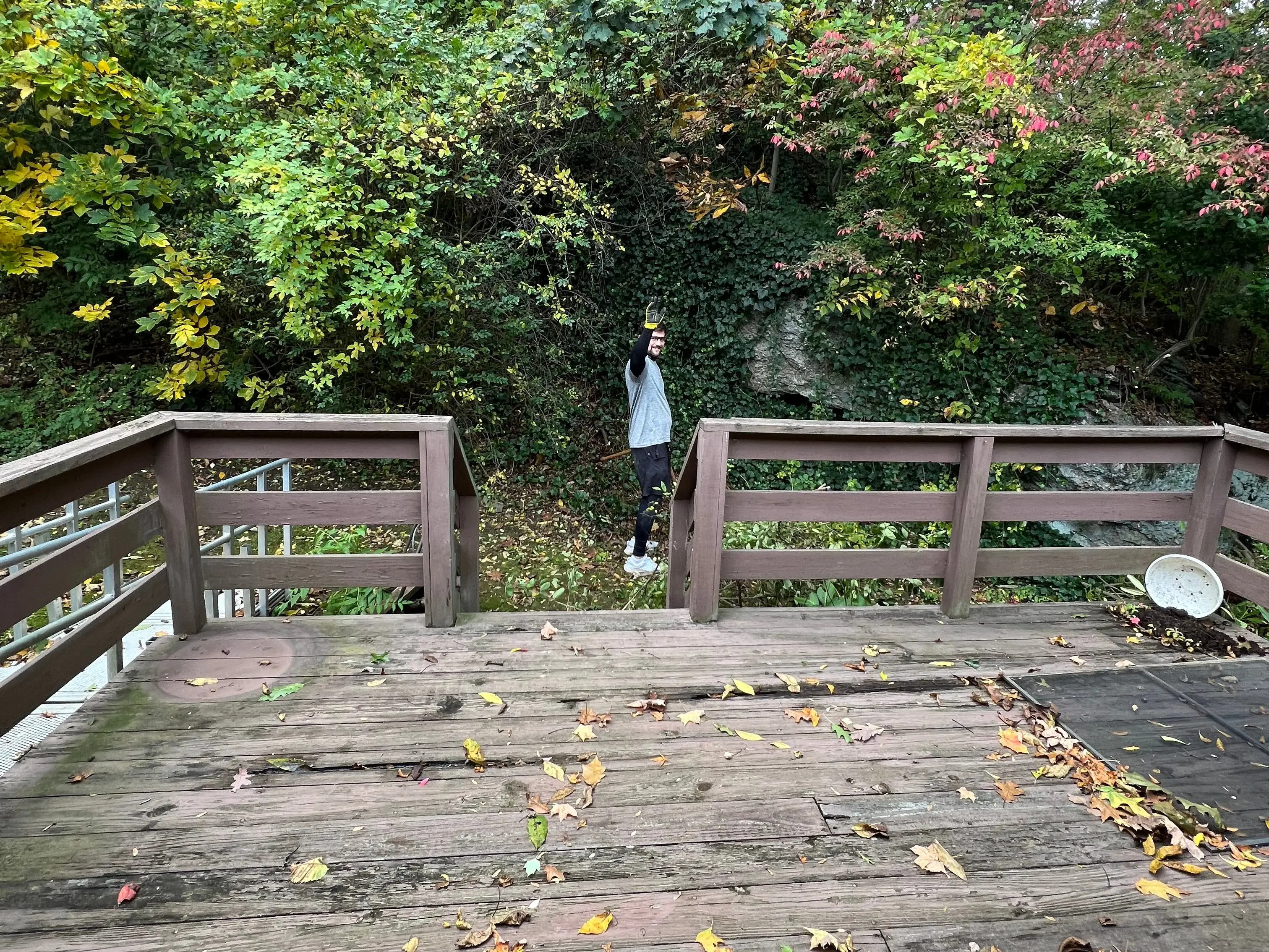 Wooden deck with trees behind it