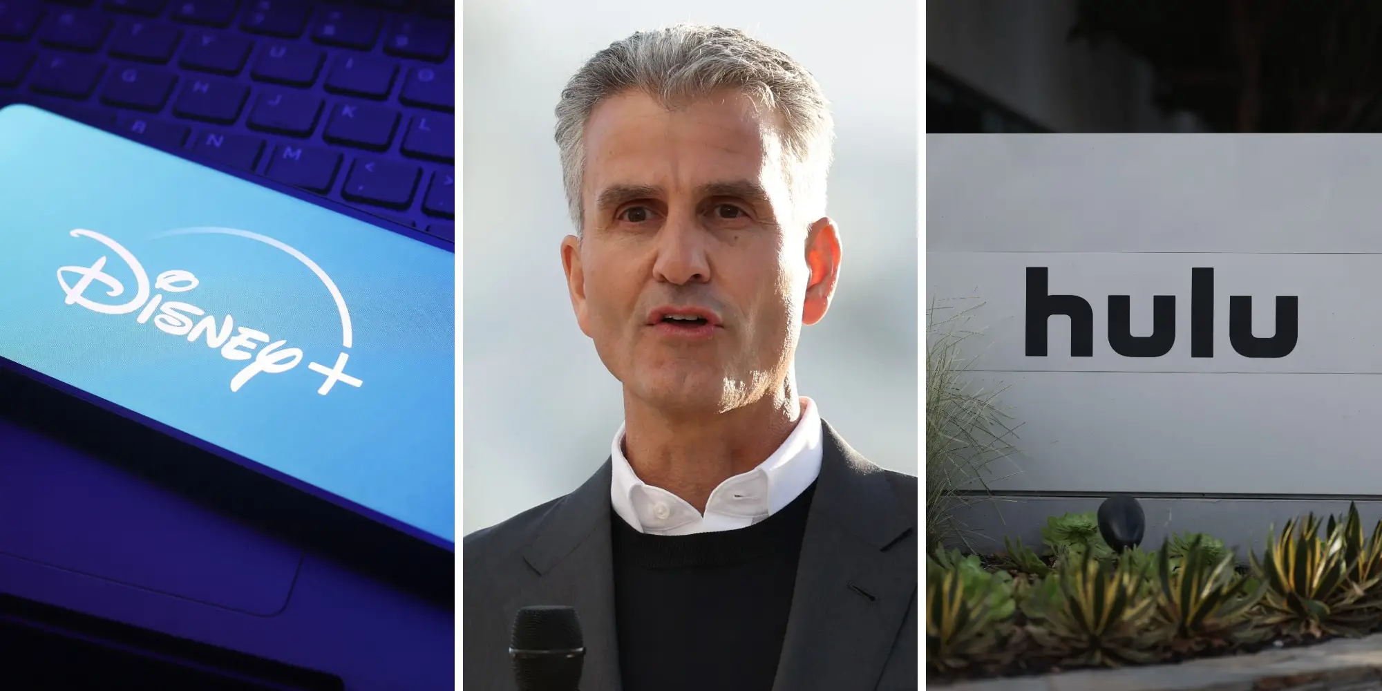 D+ Hulu price hike