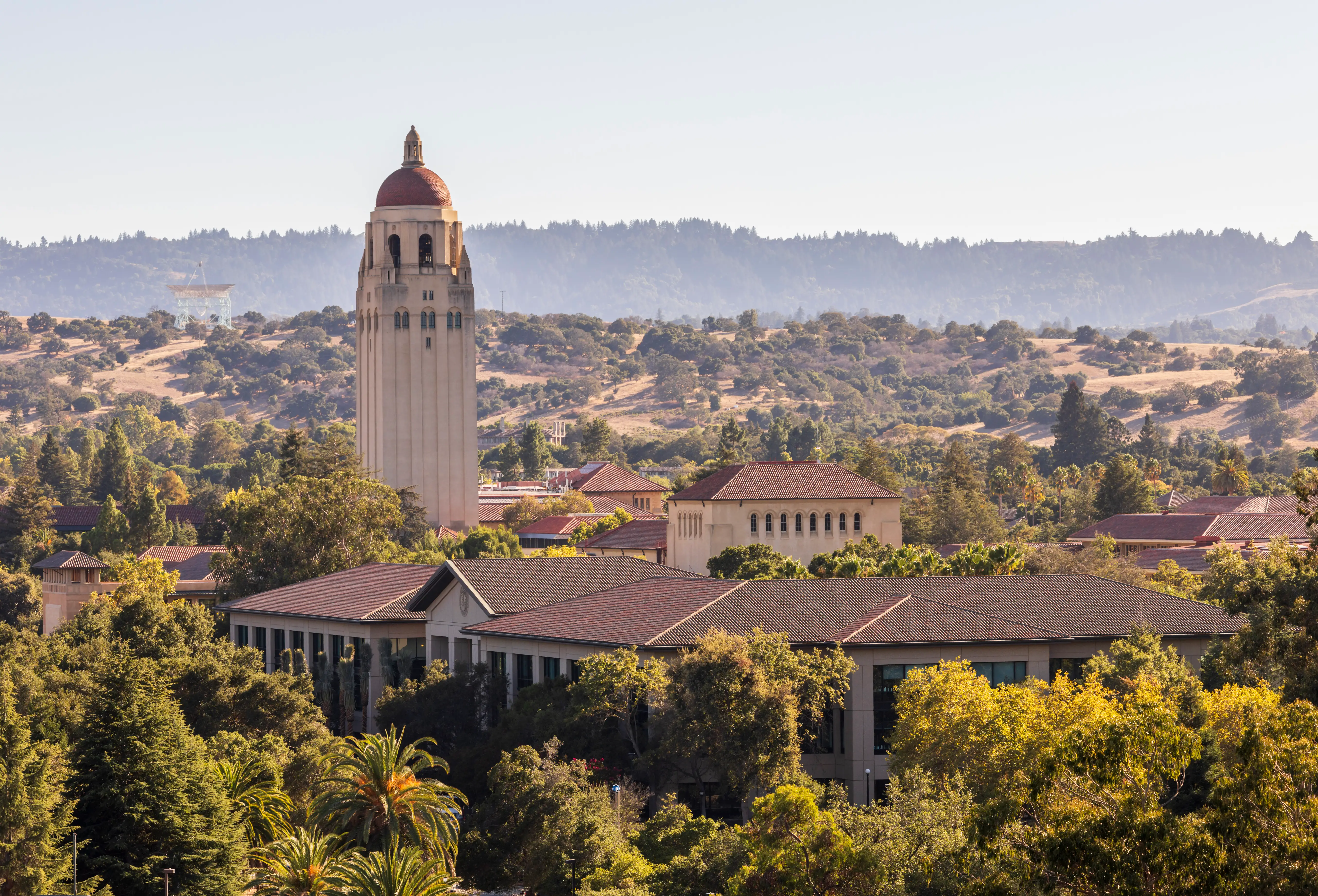 The  Hoover Tower, a landmark on Stanford's campus, peaks through tropical trees.