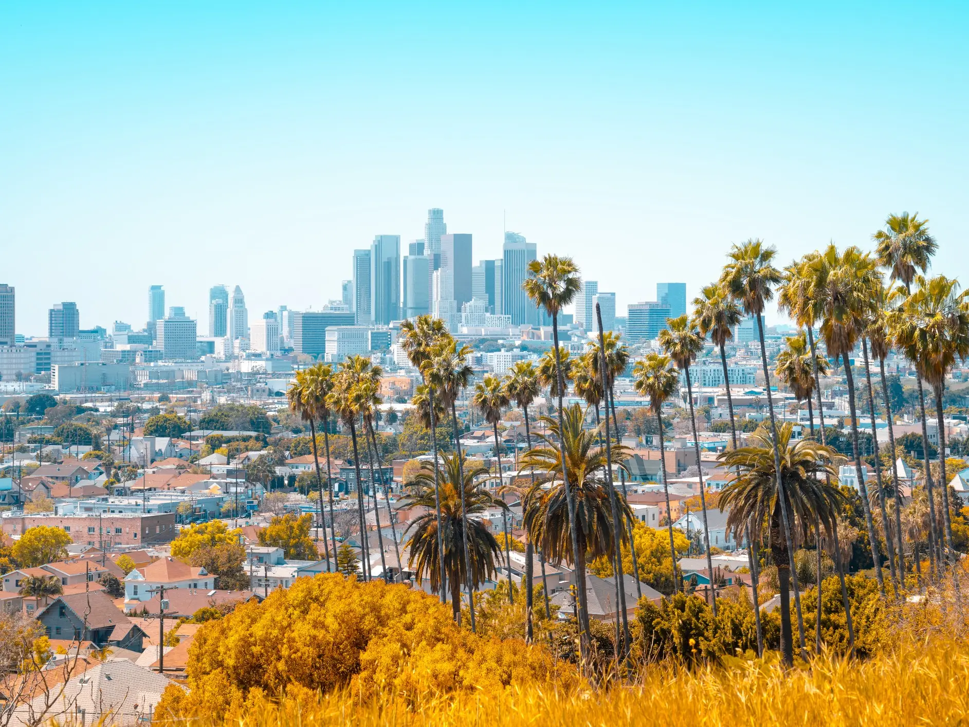 Downtown Los Angeles skyline rises beyond palm trees and residential neighborhoods under a clear blue sky.