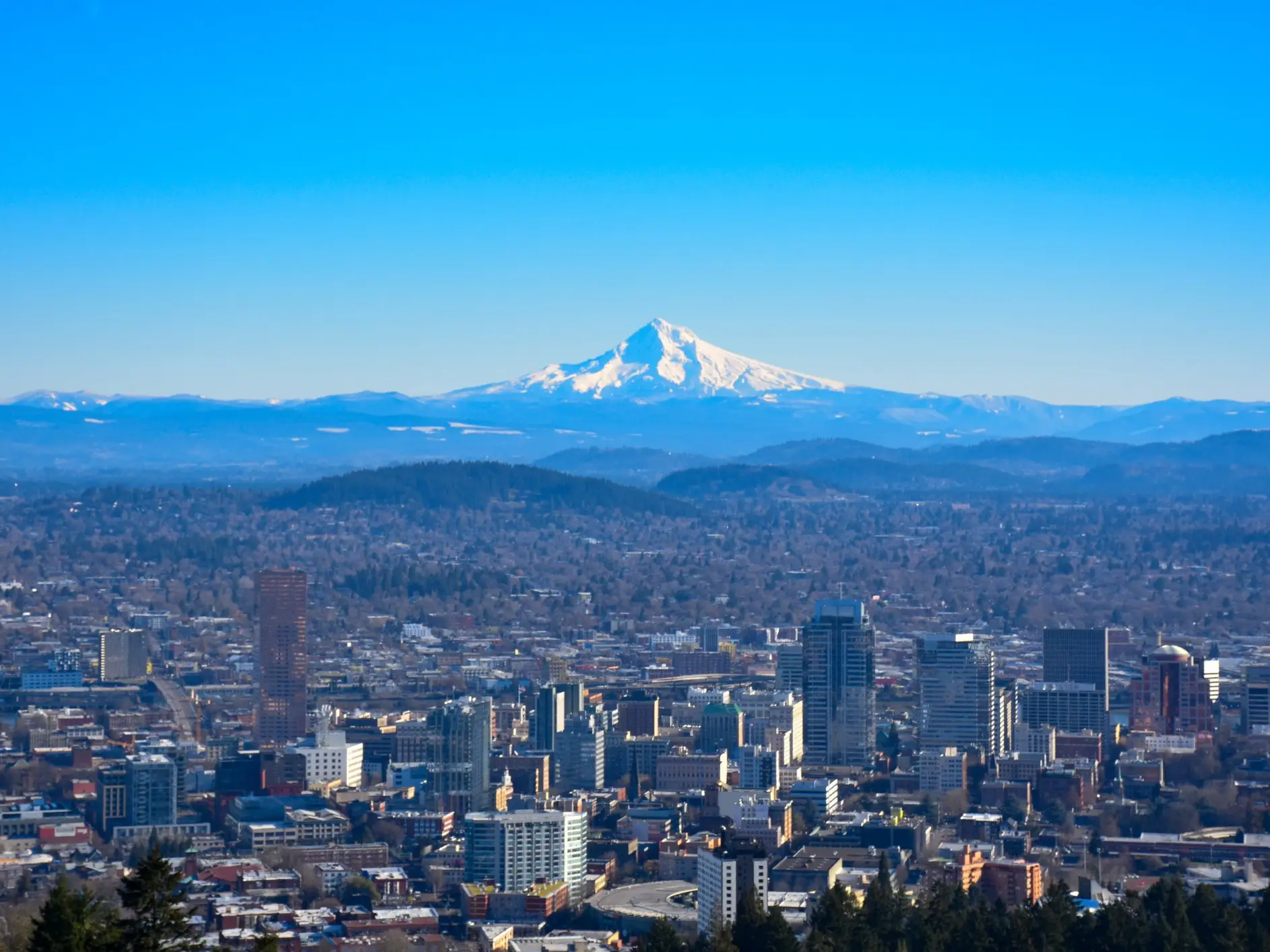 Downtown Portland skyline stretches below snow-covered Mount Hood under a clear blue sky.