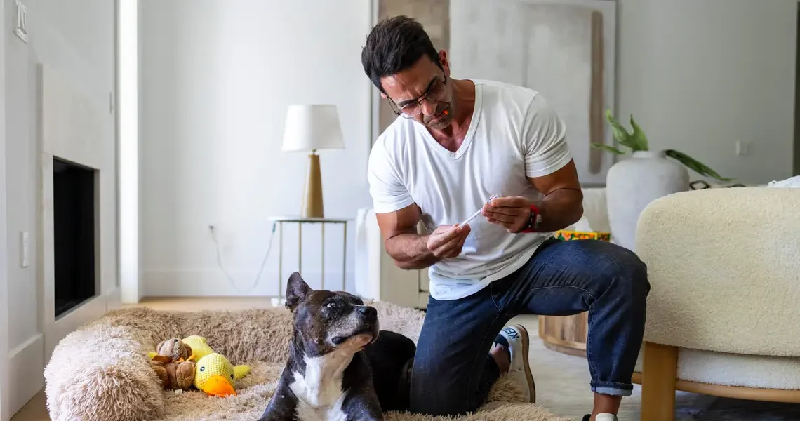 People are giving their dogs peptides to boost their longevity