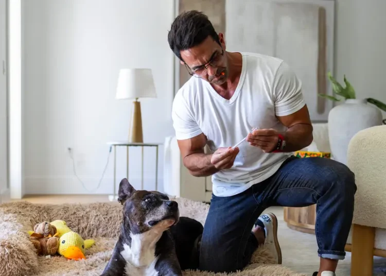 People are giving their dogs peptides to boost their longevity