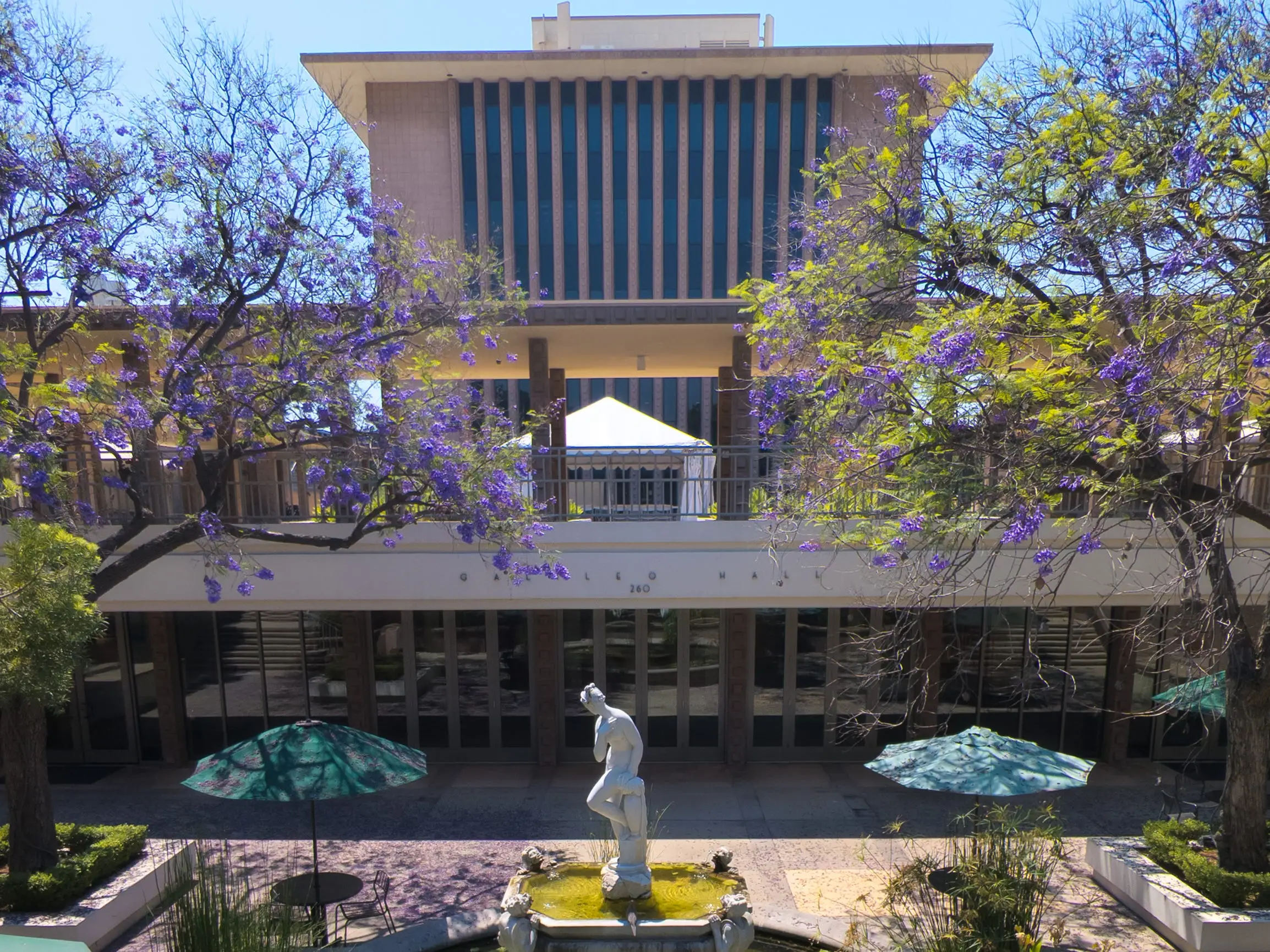 Fountain surrounded by Jacaranda trees at Harvey Mudd College
