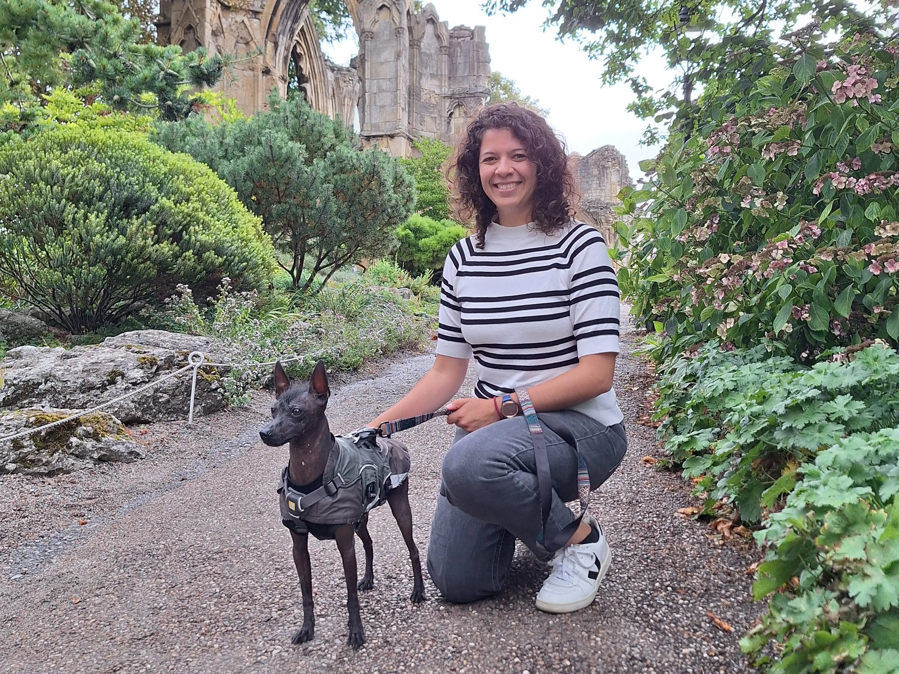 Person kneels beside a small black dog on a garden path near stone Gothic ruins.