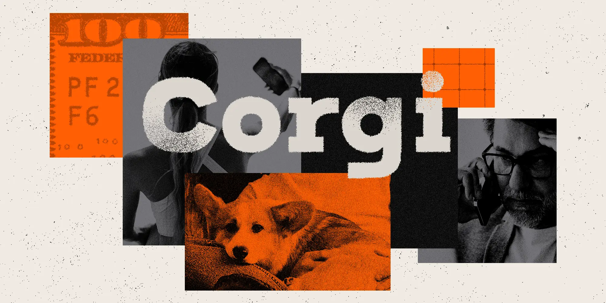 Photo collage of Corgi Insurance