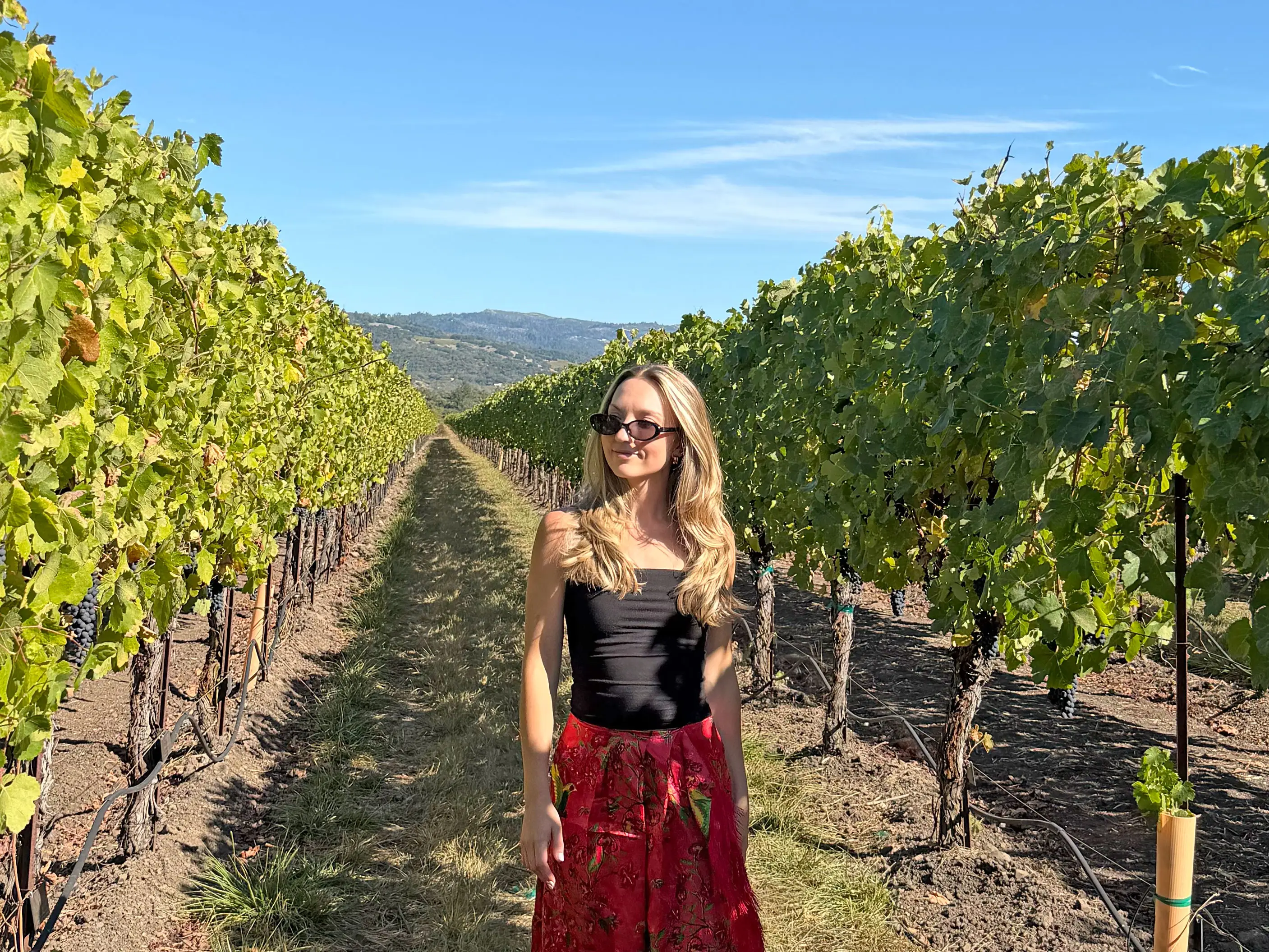 Chloe standing in a vineyard.