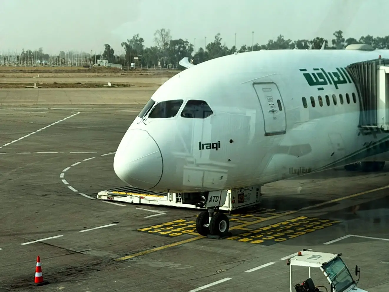 Iraqi Airways 787.