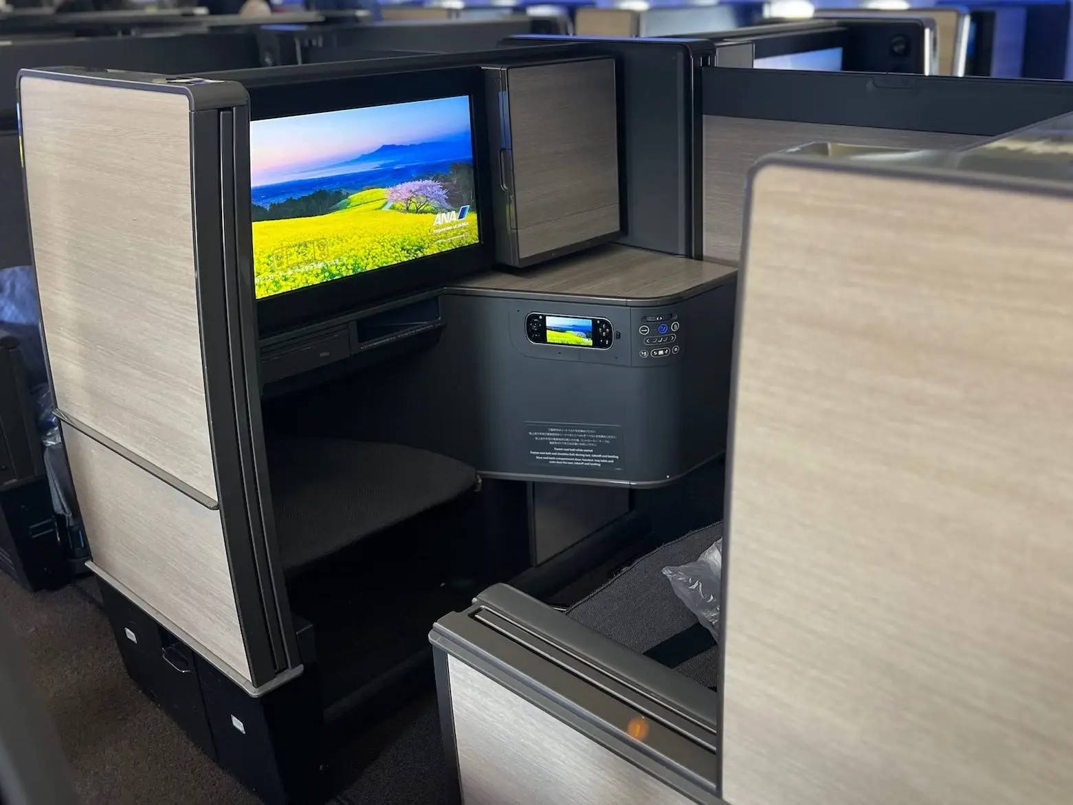Flying The Room on ANA.