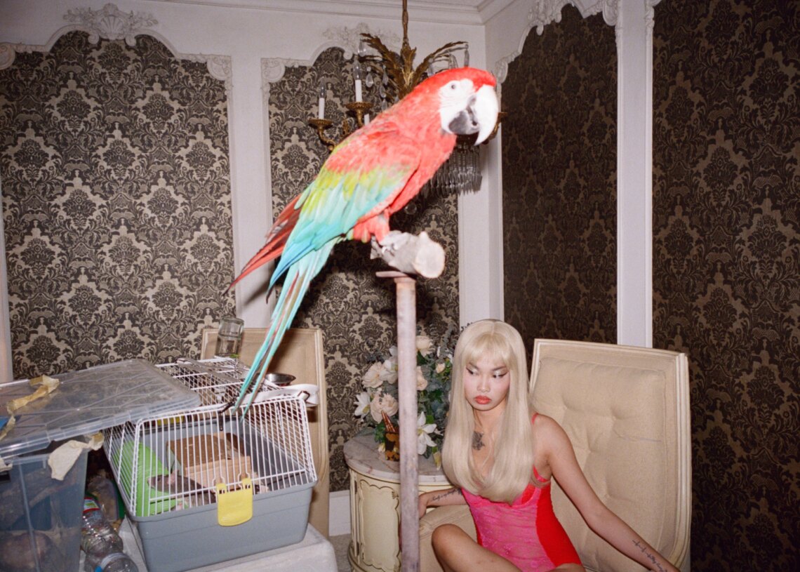 The VICE Guide to Being a Reptile Smuggler, With Nadia Lee Cohen and Charlie Denis