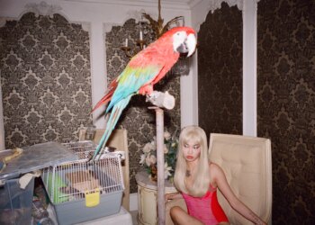 The VICE Guide to Being a Reptile Smuggler, With Nadia Lee Cohen and Charlie Denis