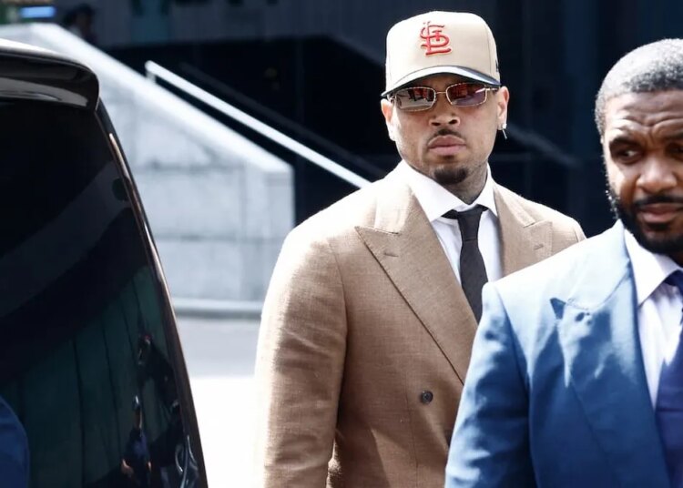 Chris Brown Threatens to Fight an Audience Member During a Recent Performance