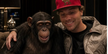 ‘It Was a Mess’: We Spoke to the MMA Fighter Who Said He’d Fight a Chimp