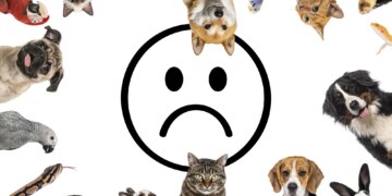 This Common Household Pet Was Linked to Mental Health Problems in Children