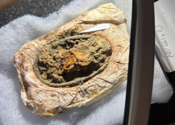 Archaeologists Found a 1,300-Year-Old Viking Dress Preserved by Its Own Jewelry