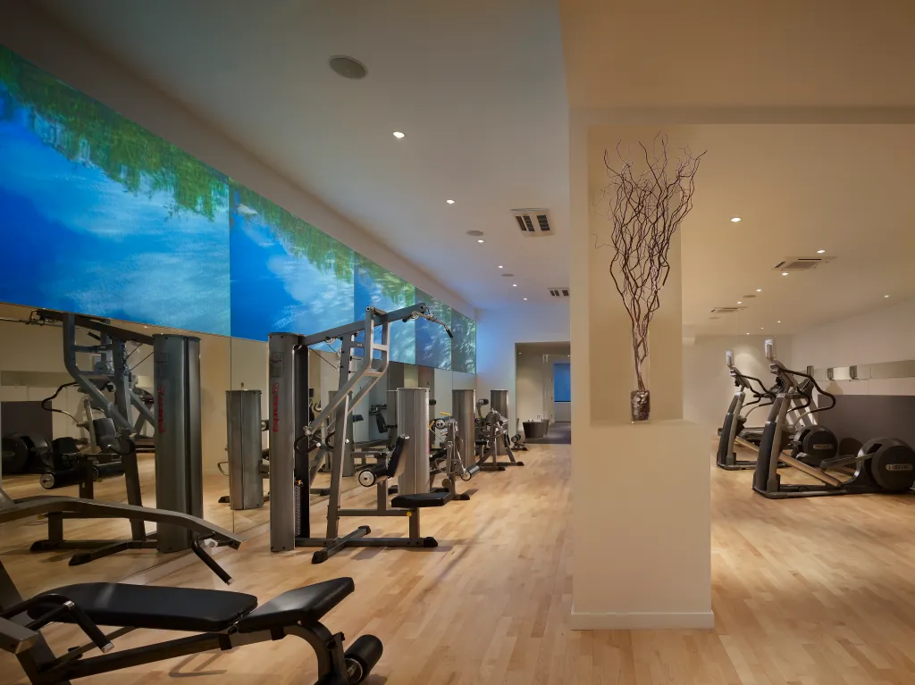 Fitness center with various exercise machines, wooden floors, and a large mural depicting a lush green landscape and blue water.