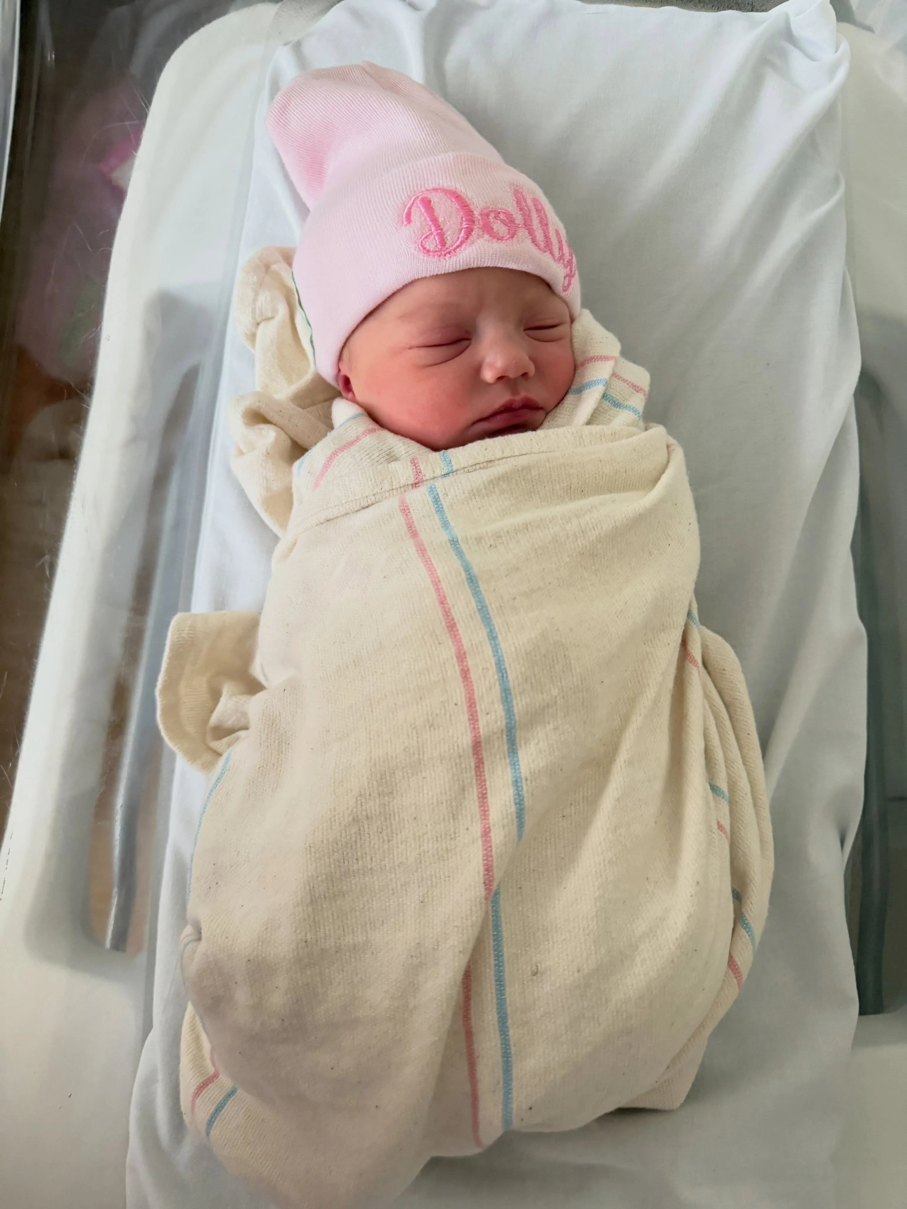 Newborn baby Dolly wrapped in a white blanket with pink and blue stripes, wearing a pink beanie.