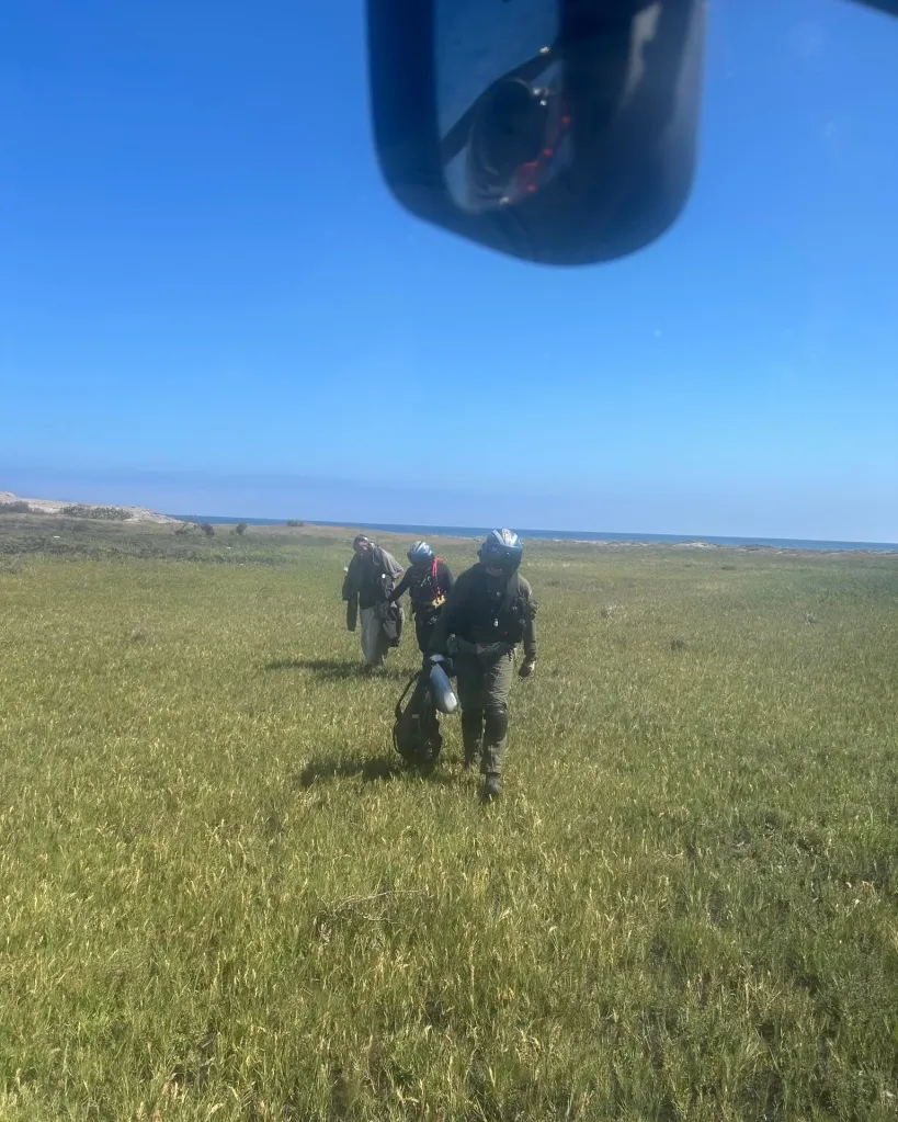 Three individuals walking across a field of tall green grass towards the ocean, with a clear blue sky above.
