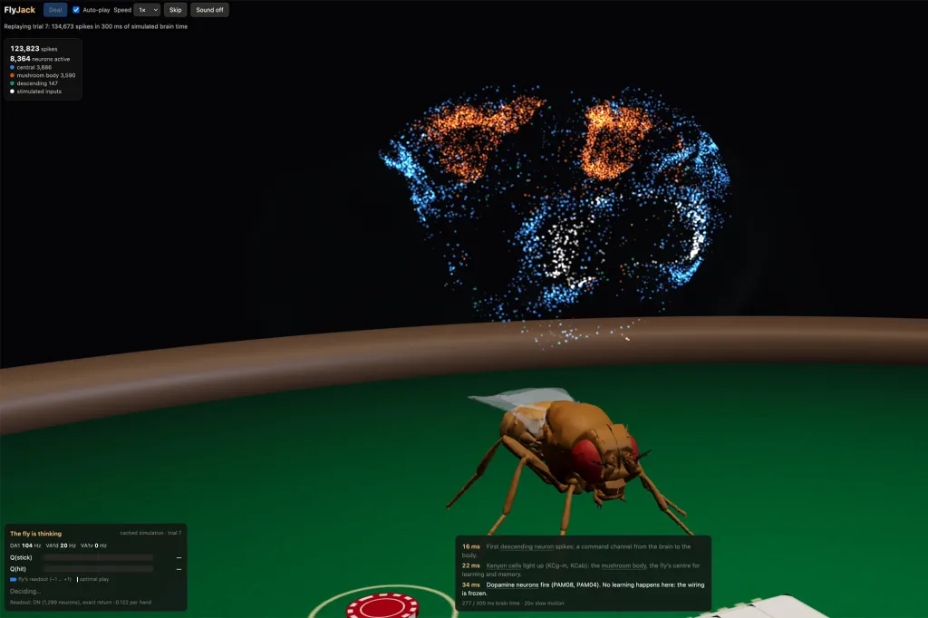 Illustration of a fruit fly simulation, where a 3D fruit fly sits on a green table like a blackjack table, with a visualization of neural activity above it.
