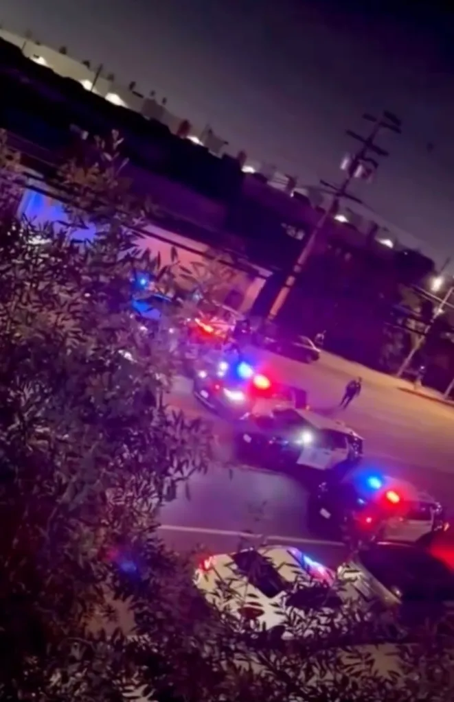 Police cars with flashing lights on a street at night.
