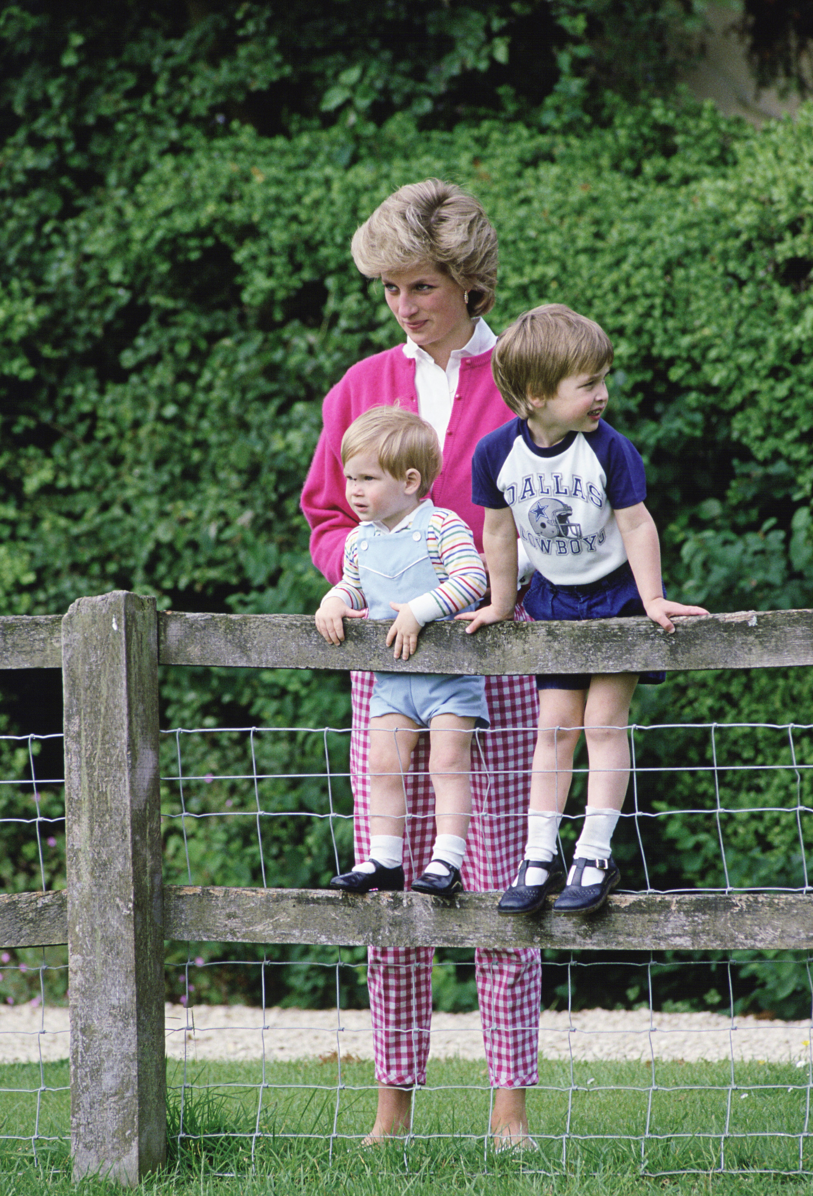 Princess Diana with her sons