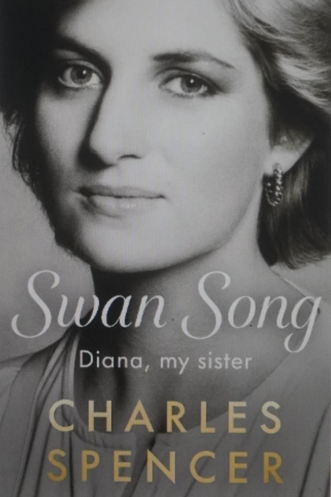 Book cover for 