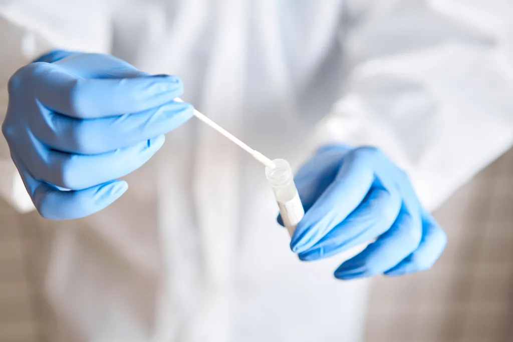 A person in blue medical gloves holding a swab stick over a test tube.