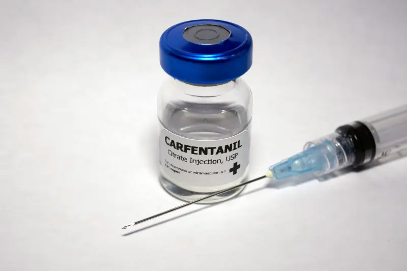 Vial of Carfentanil Citrate Injection and a syringe.