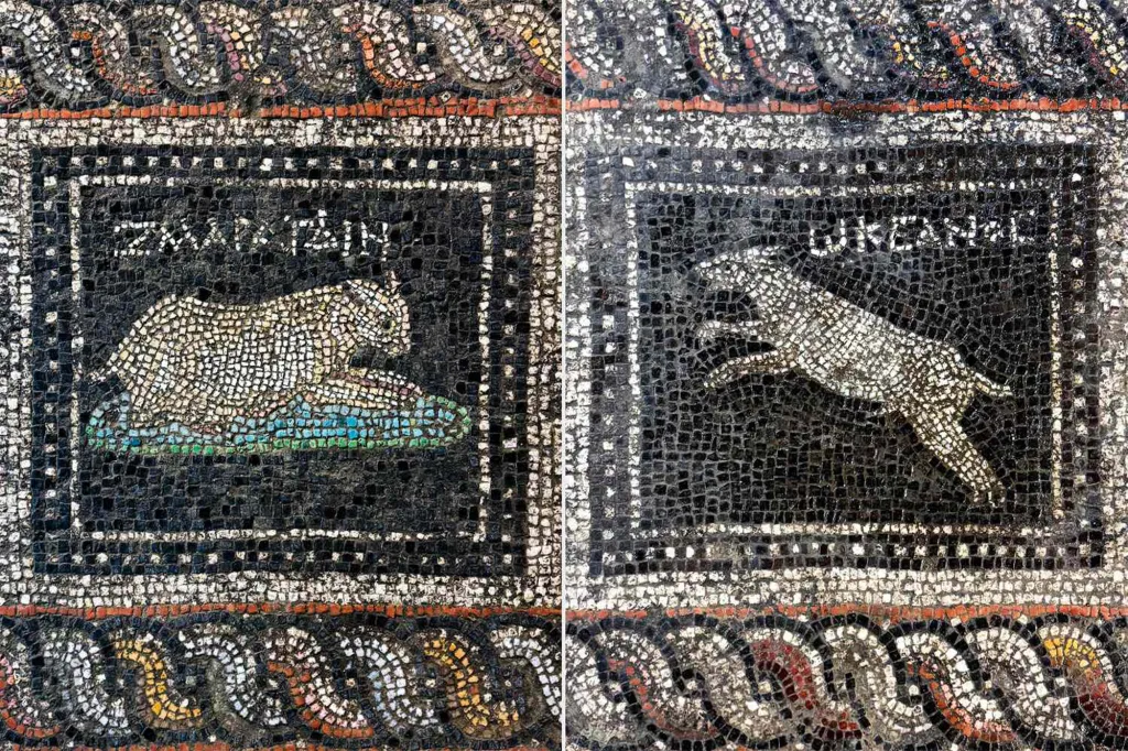 only two of the many animals in the stunning artwork were given names: a cat called Emerald and a dog called Ocean.