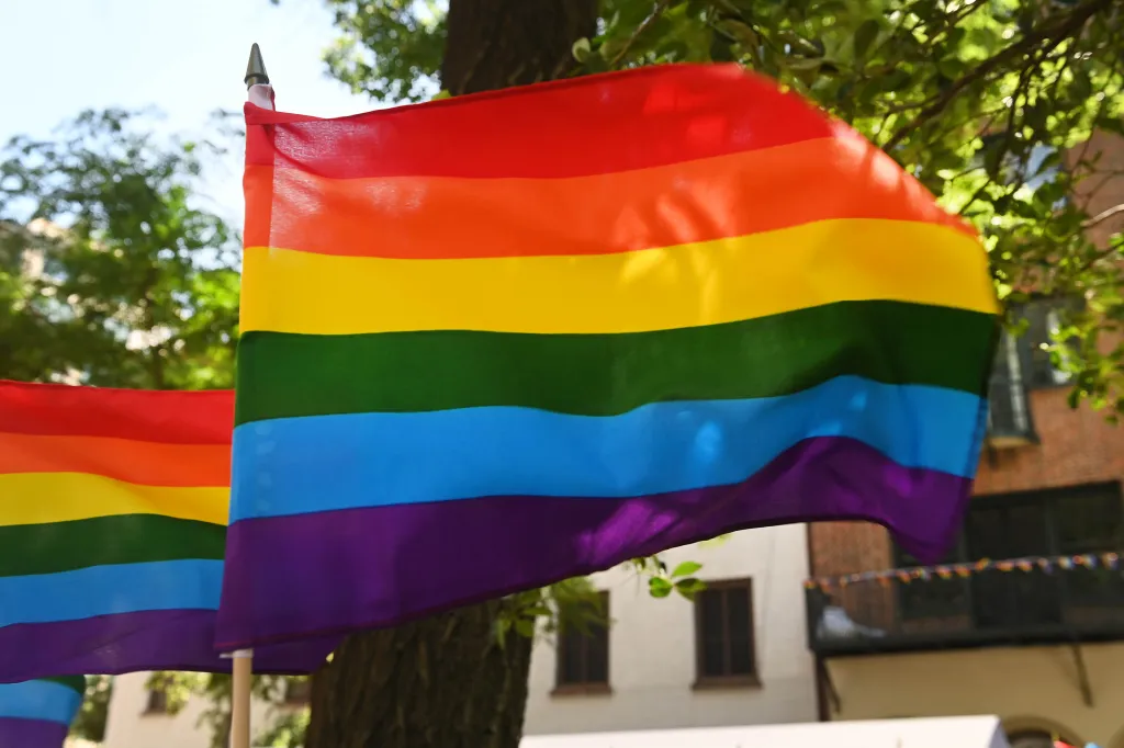 Pride flags displayed in Christopher Park at the Stonewall National Monument.