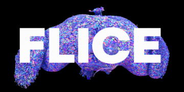 We Hijacked a Fruit Fly’s Brain and Made It Write VICE Headlines