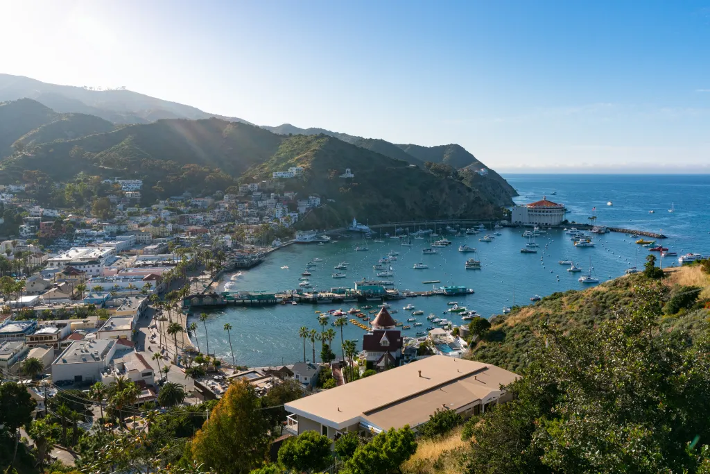 General view of Avalon Harbor at Santa Catalina Island with mountains in the background and boats docked in the bay.
