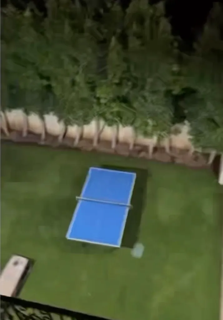 A blue ping-pong table sits on a green lawn in a backyard, viewed from above.