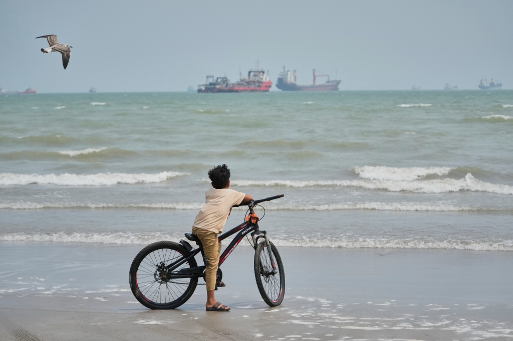 A boy stands with his bicycle on a beach, looking out at commercial vessels anchored in the Strait of Hormuz, with a gull flying overhead.