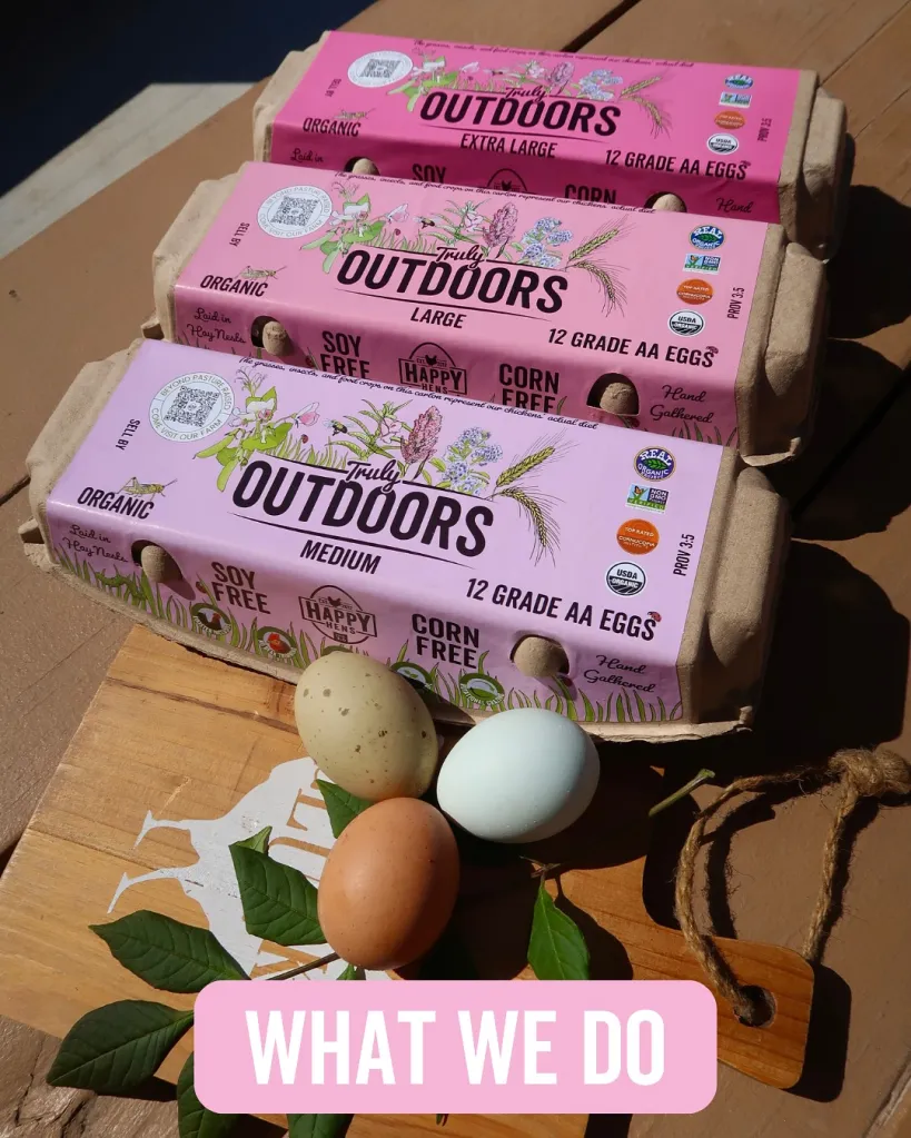 Three cartons of Happy Hens 