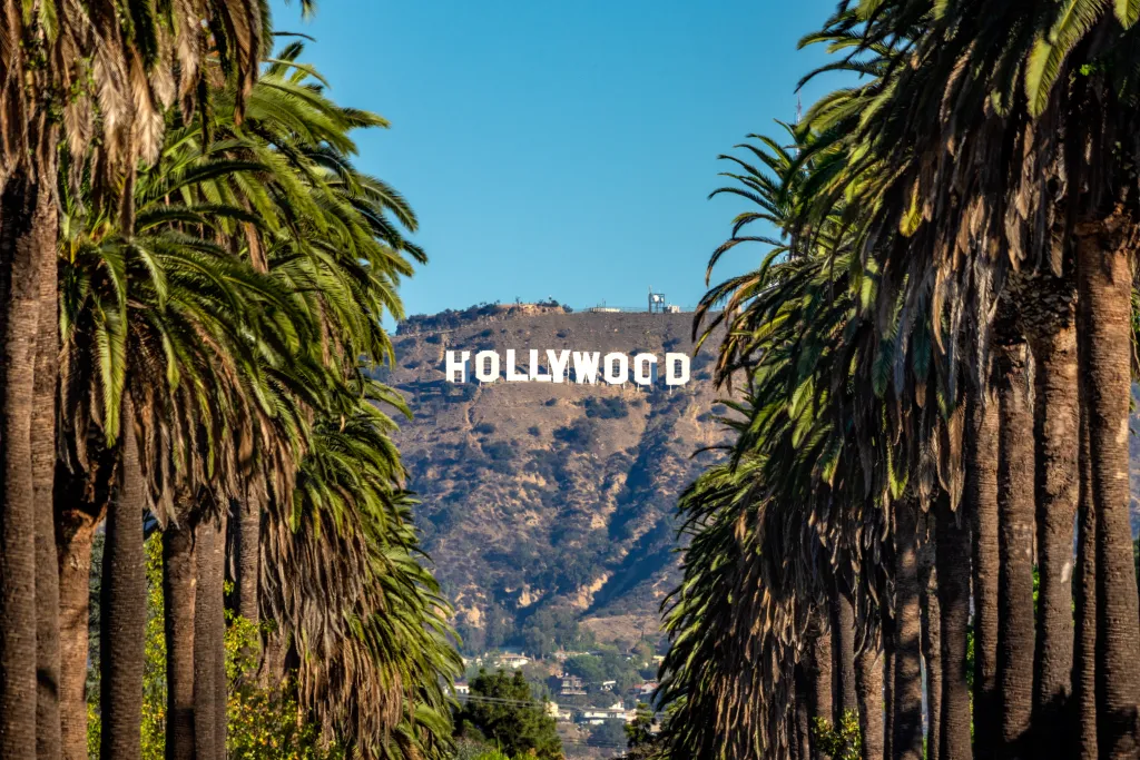 The Hollywood Sign on a distant hill, framed by two rows of palm trees.