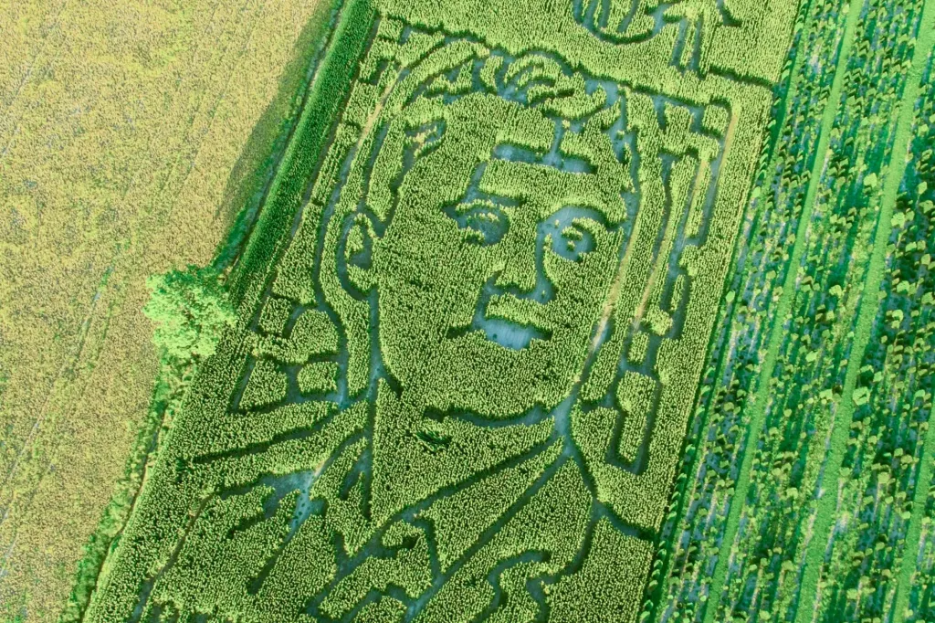 An aerial view of a corn maze shaped like the face of Charlie Kirk.