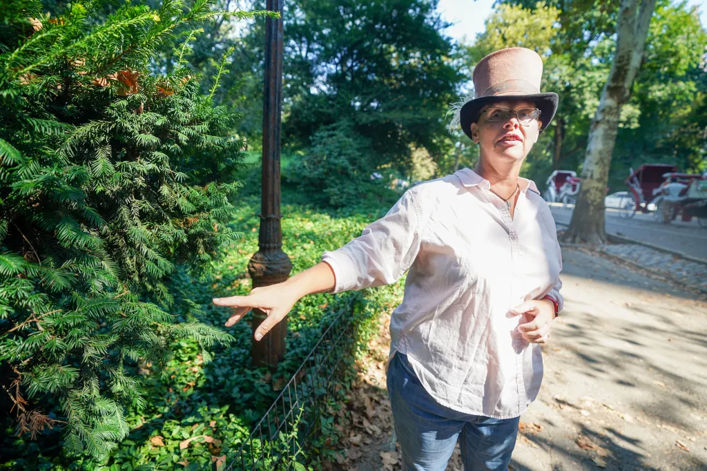 Christina Hansen, TWU Local 100 Shop Steward, points to the Japanese Yew, a poisonous plant in Central Park, NYC.