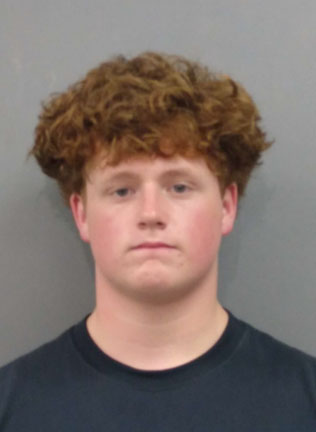 Mugshot of Kroy Biermann Jr., 15.
