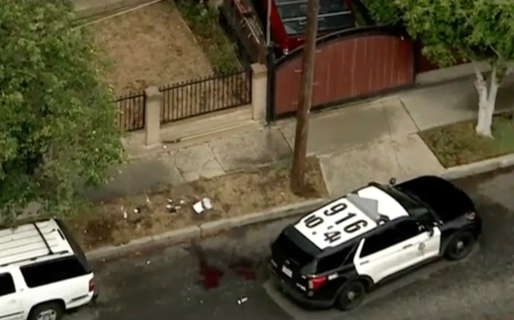 Overhead view of a Los Angeles Police Department cruiser parked on a street next to bloodstains on the ground.