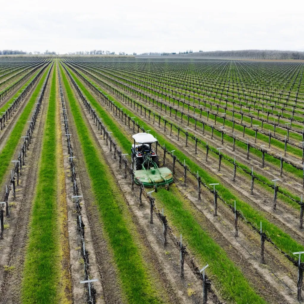 The McManis Family Vineyards winery facility and land in Northern California.