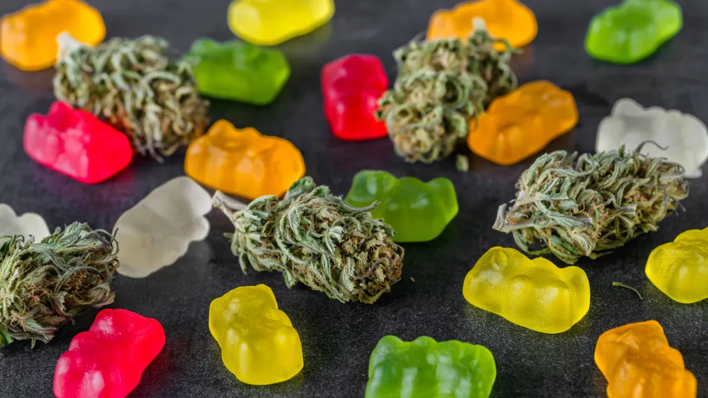 Cannabis-infused gummy bears and cannabis buds.