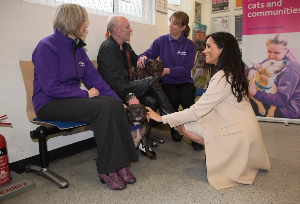 Meghan, Duchess of Sussex, kneels to pet one of two Staffies.